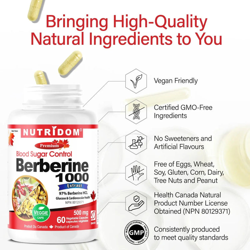 Hydrochloride de berbérine 500 mg | Soutien de la glycémie et du métabolisme | 60 capsules végétales