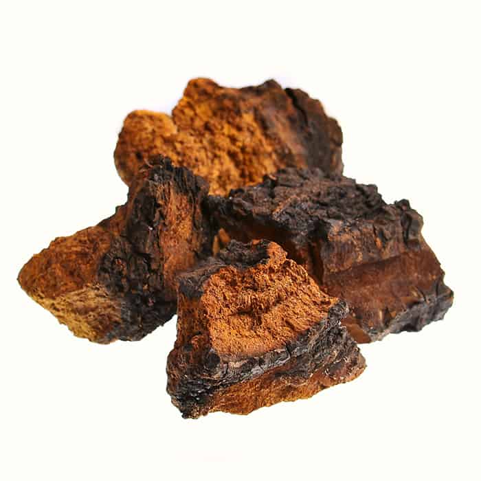 Birch Chaga Truffles: A Delicious and Nutritious Source of Antioxidants for Improved Health - DrSous.Ca