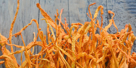 Discover the Power of Cordyceps Mushroom for Reducing Chronic Inflammation and Boosting Energy - DrSous.Ca