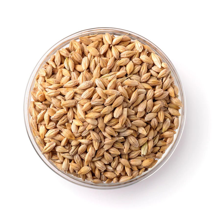 2206. SEEDS (fiber, protein, magnesium and vitamin E) - DrSous.Ca