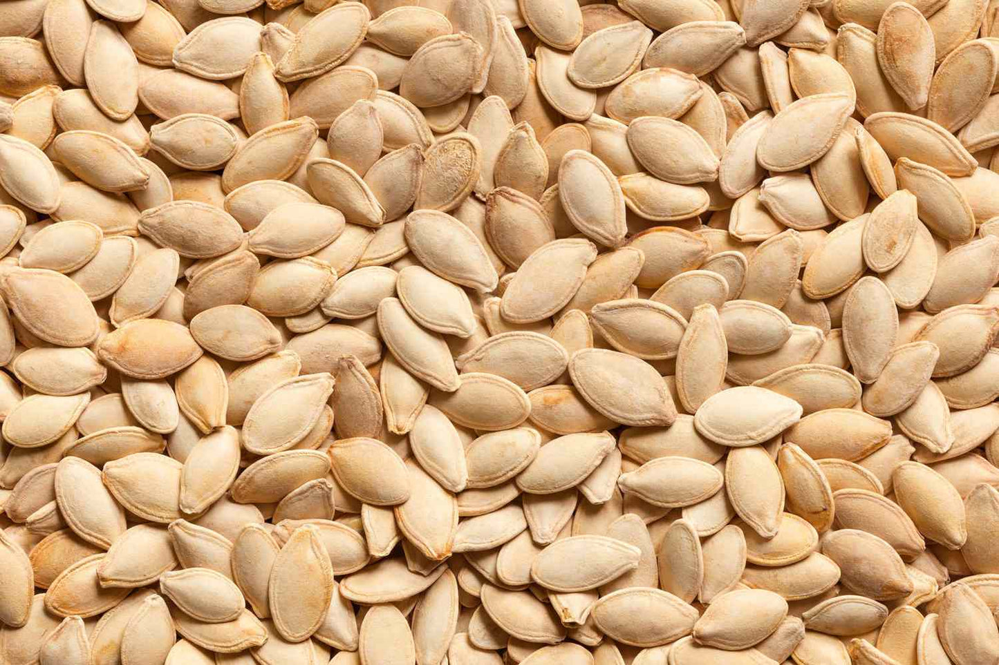 2206. SEEDS (fiber, protein, magnesium and vitamin E) - DrSous.Ca