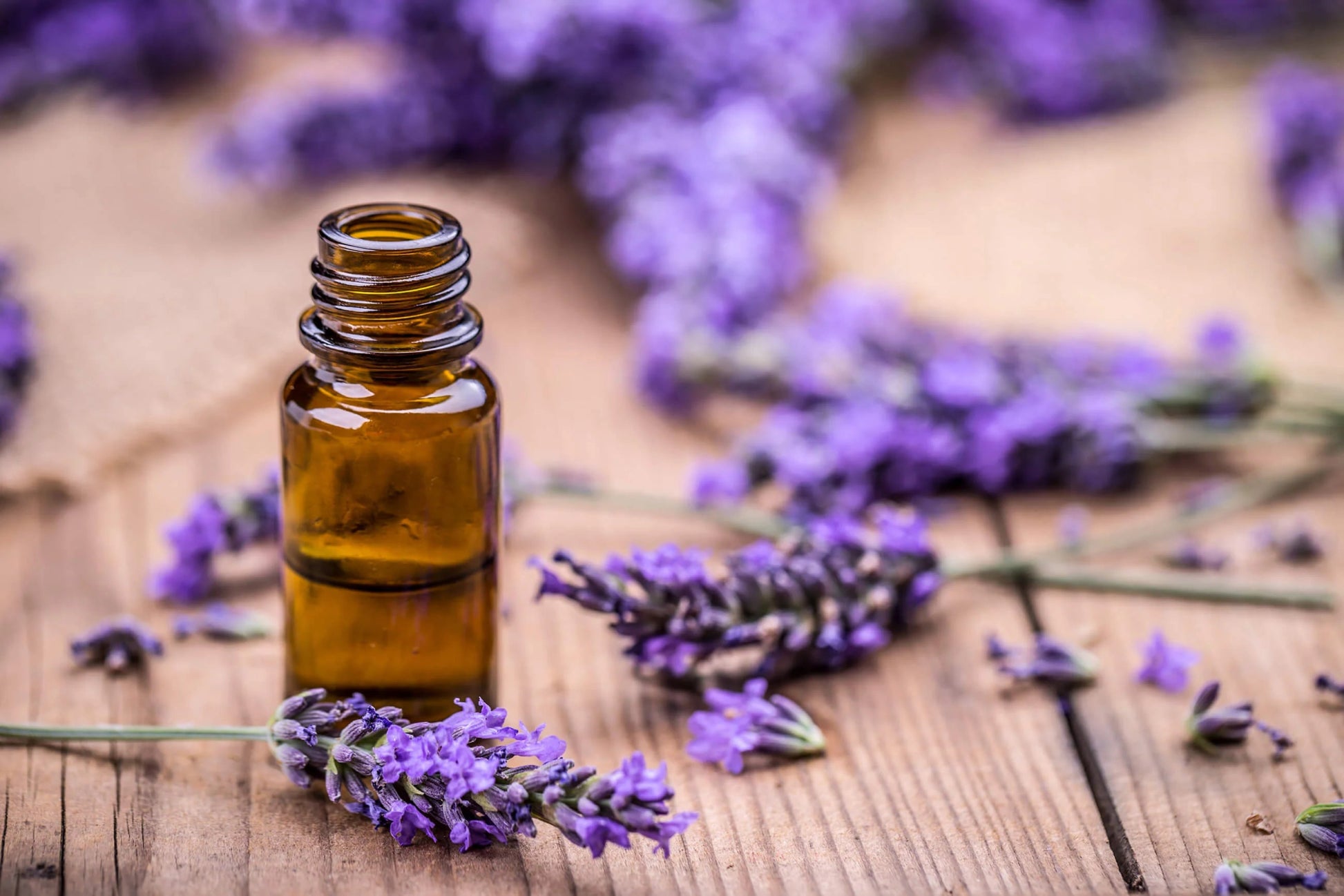 2418. Essential Oil blend to Massage,Recipe 2. - DrSous.Ca