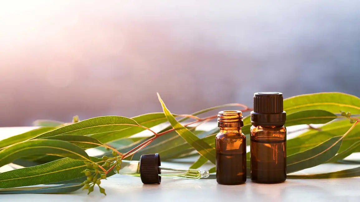 2434. Massage with Essential Oils blends, Recipe 3. - DrSous.Ca