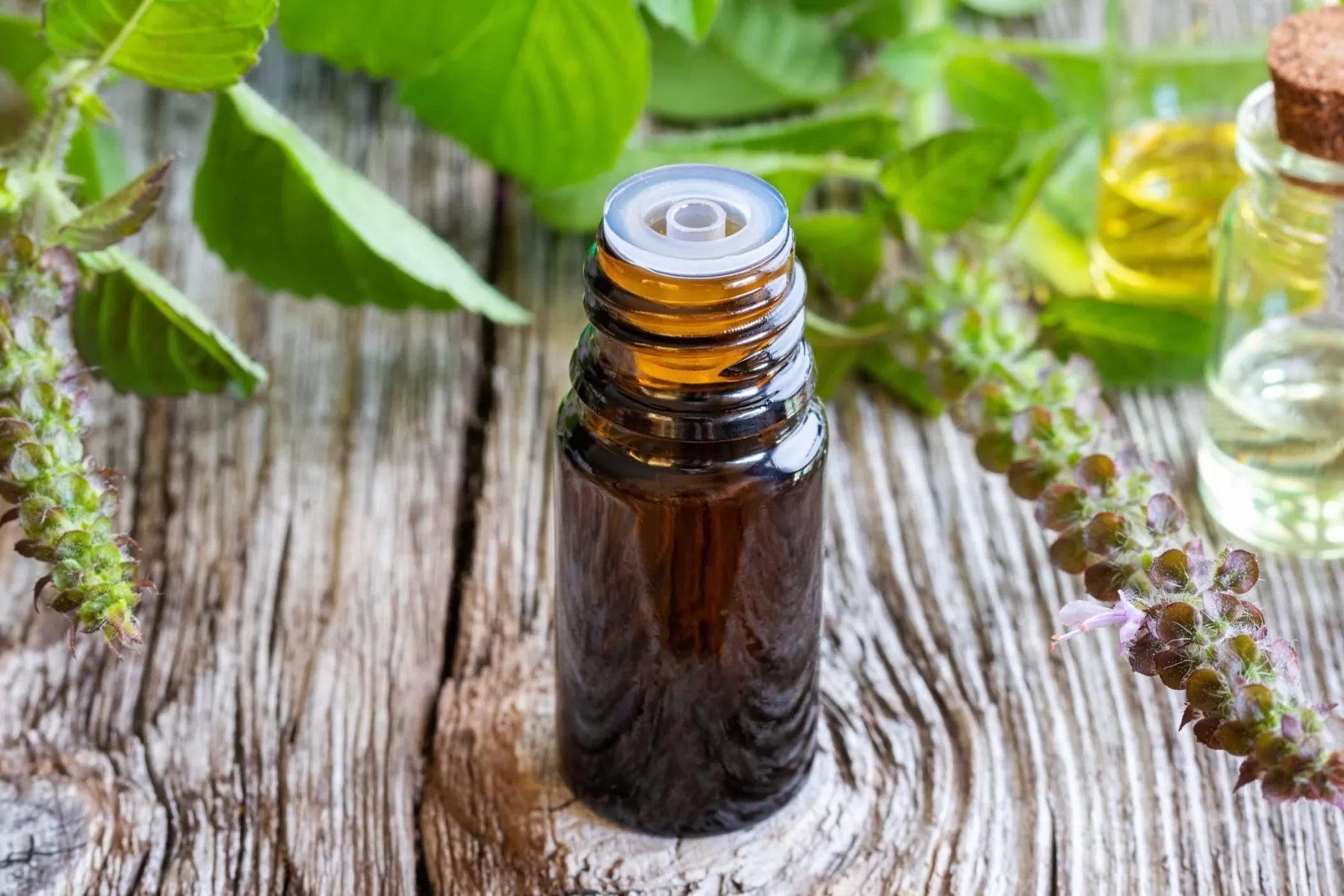 2434. Massage with Essential Oils blends, Recipe 3. - DrSous.Ca