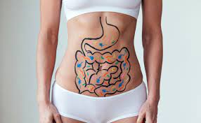 2601. Proposal for a 3-Month Protocol to Improve Your Digestion & Gut Health - DrSous.Ca