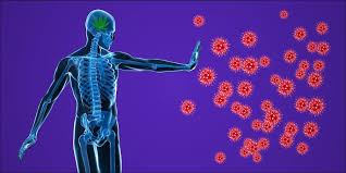 2604. Proposal for a 3-Month Rehabilitation Protocol for Immune Diseases & Related Conditions - DrSous.Ca