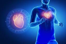 2609.Proposal for a 3-Month Protocol for Your Heart Health - DrSous.Ca