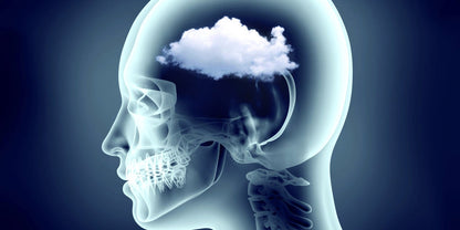 2912.Head & Spinal Cord 2)Brain Fog - DrSous.Ca