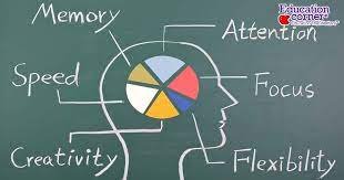 2913.Head & Spinal Cord. 3)Improve Memory & Focus - DrSous.Ca