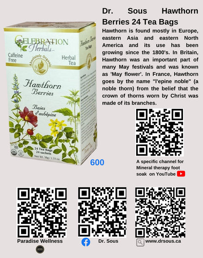 600. Dr. Sous Hawthorn Berries 24 Tea Bags - DrSous.Ca