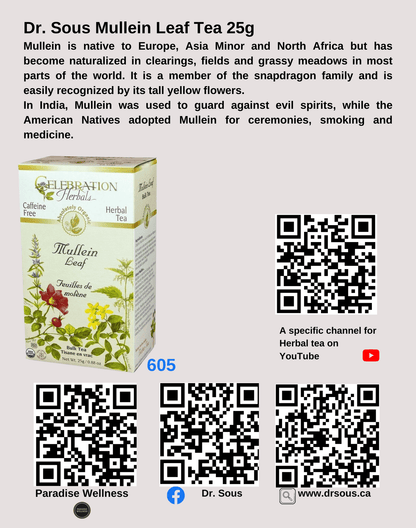 605. Dr. Sous Mullein Leaf Tea 25g - DrSous.Ca