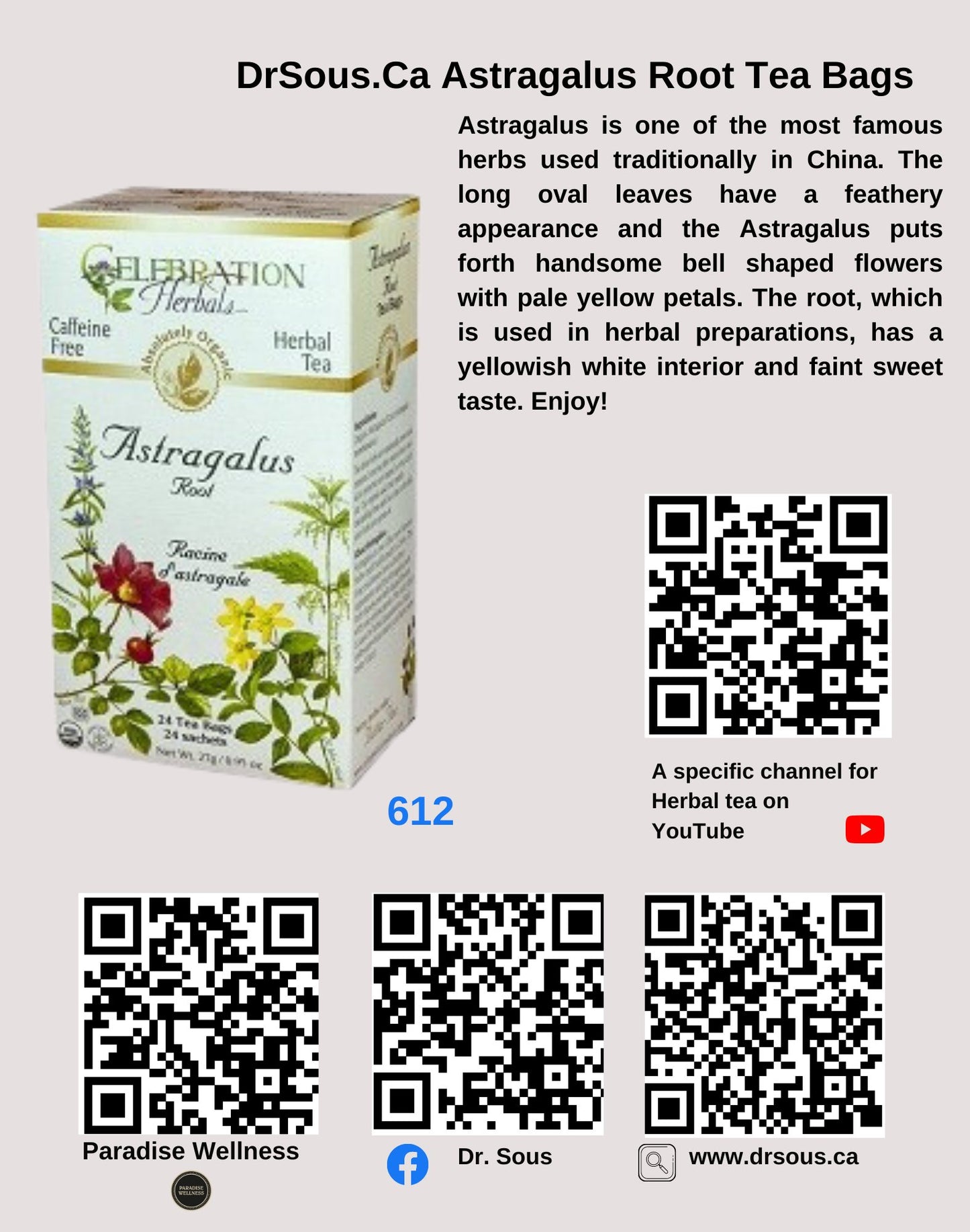 612. DrSous.Ca Astragalus Root Tea Bags - DrSous.Ca