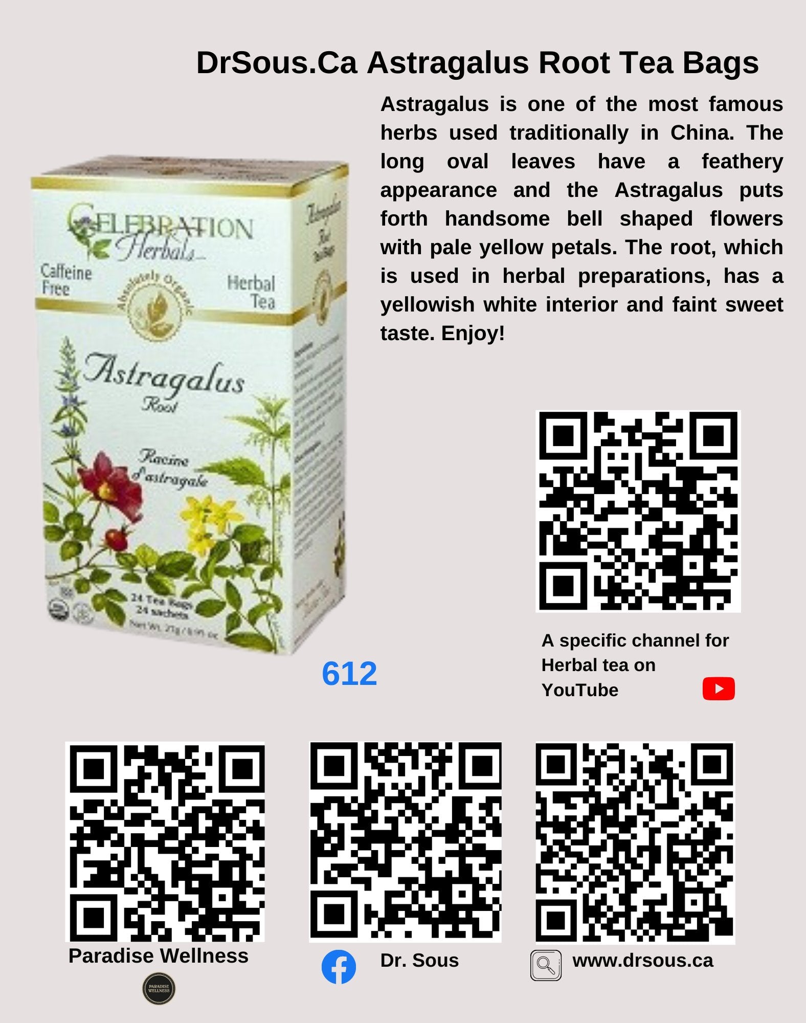 612. DrSous.Ca Astragalus Root Tea Bags - DrSous.Ca