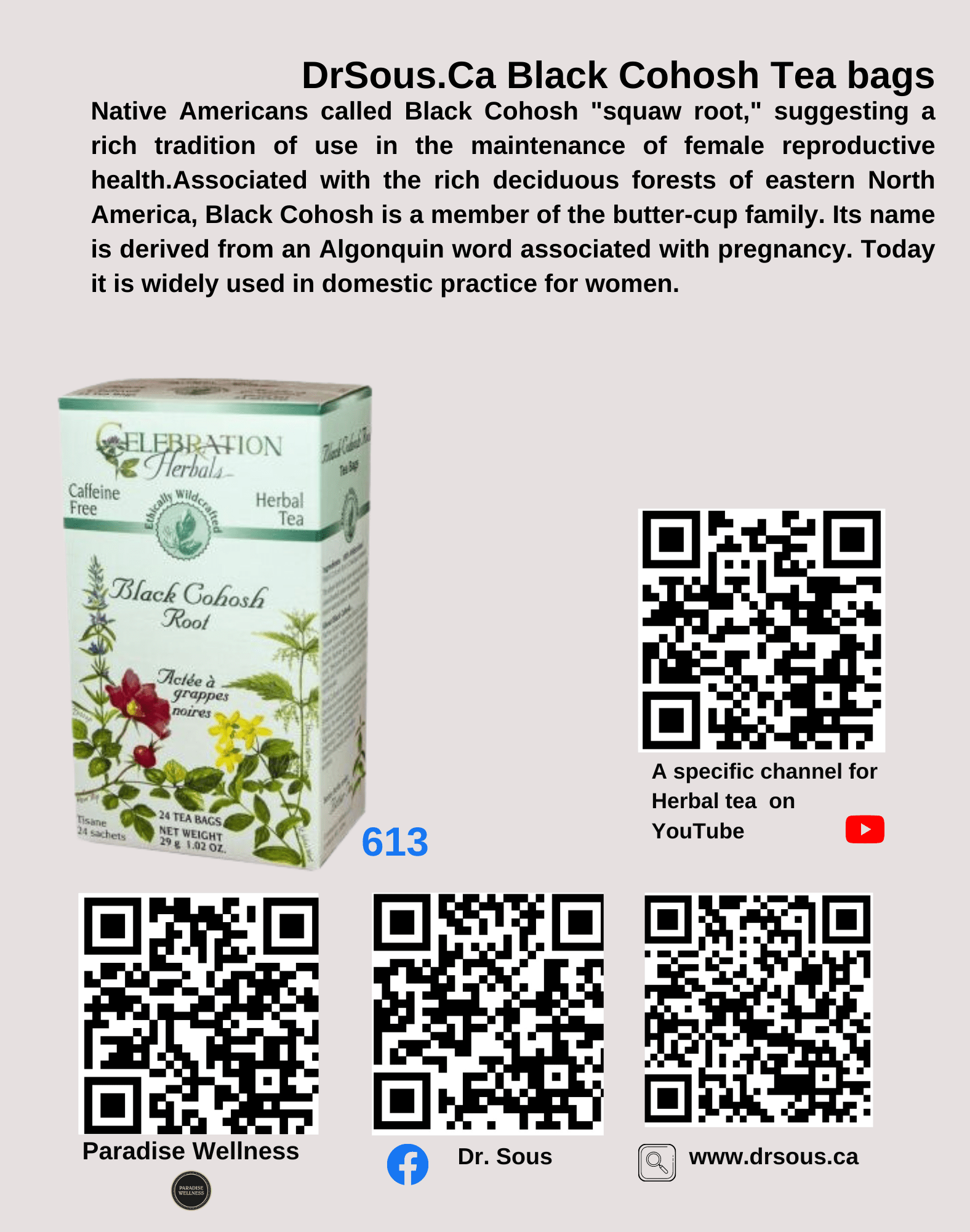 613. DrSous.Ca Black Cohosh Tea bags - DrSous.Ca