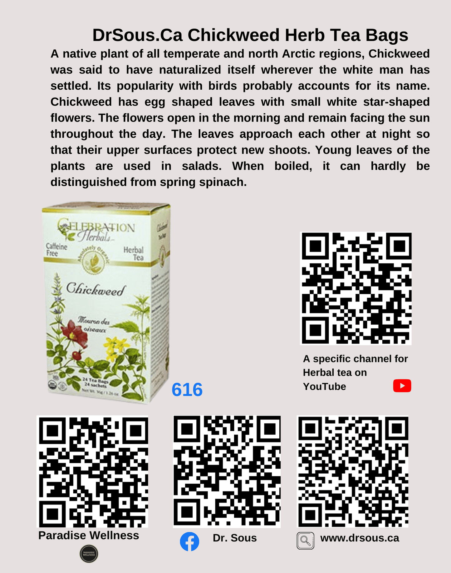 616. DrSous.Ca Chickweed Herb Tea Bags - DrSous.Ca