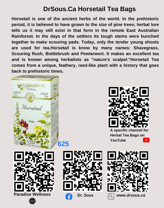 625. DrSous.Ca Horsetail Tea Bags - DrSous.Ca