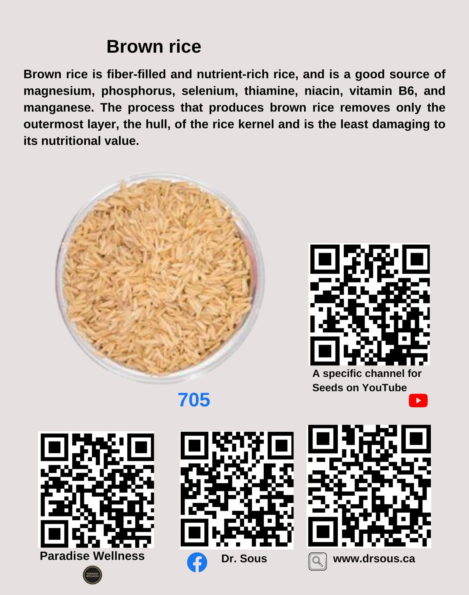 705. Brown rice - DrSous.Ca